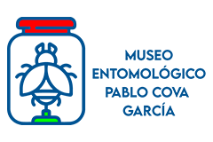 Museo Entomológico