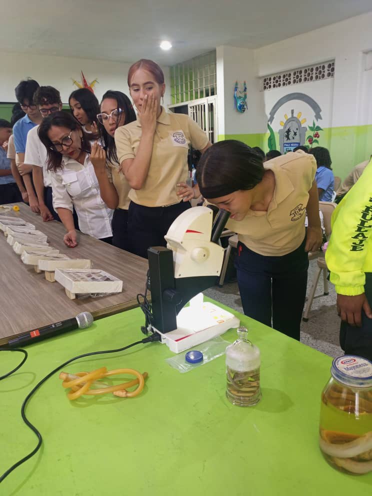 photo_5177200853763427199_y