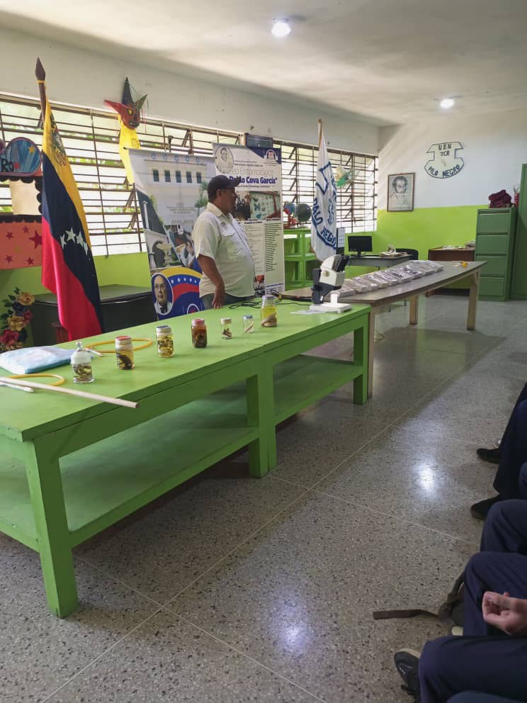 photo_5177200853763427202_y