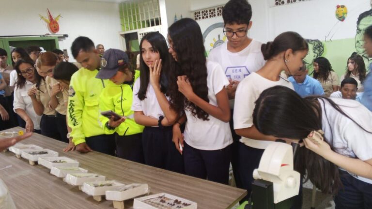 photo_5179348908642077746_y