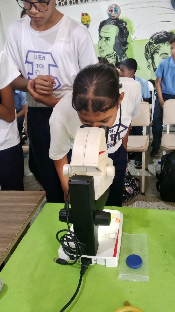 photo_5179348908642077750_y