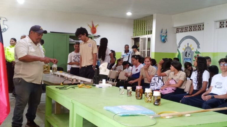 photo_5179348908642077751_y