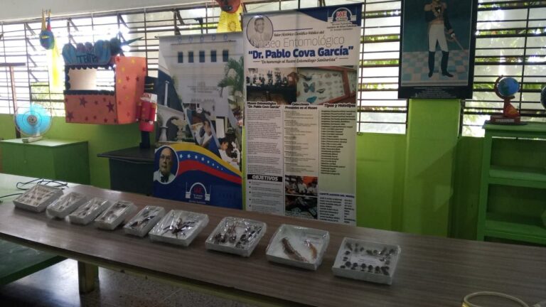 photo_5179348908642077755_y