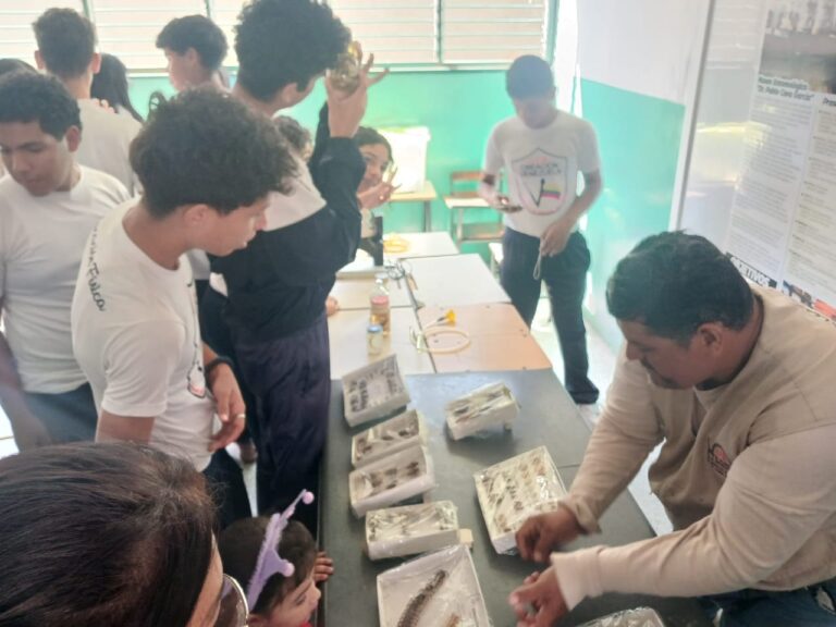 8d5158e8-44c1-4dd7-9833-896f4ecd59e0