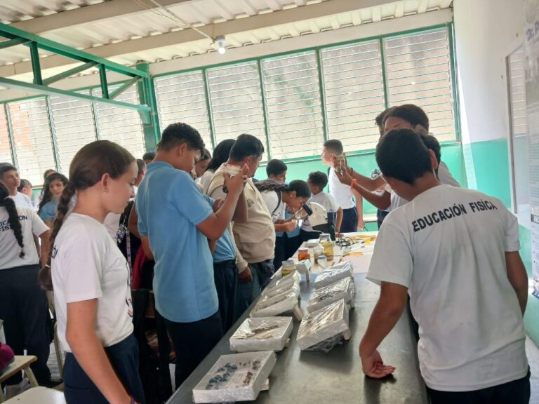 c52a0e61-3bd3-4187-8eb3-0235c5a35dae