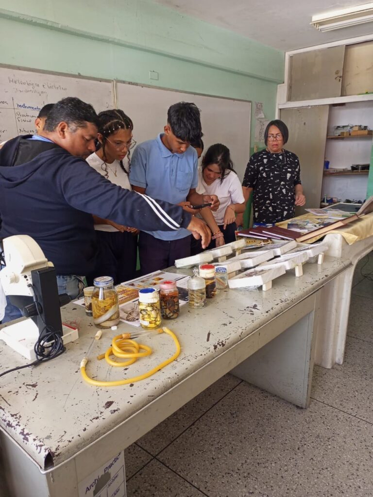 photo_4927008623540505587_y