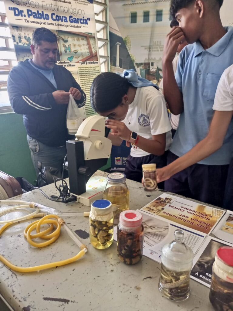 photo_4927008623540505588_y