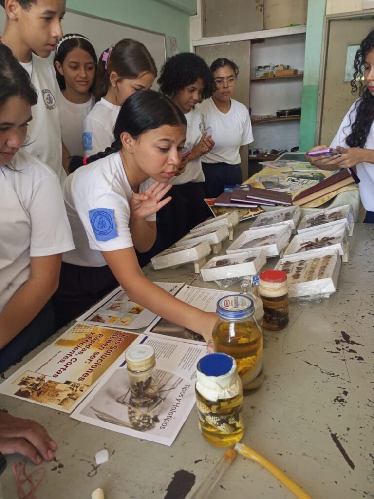 photo_4927008623540505589_y