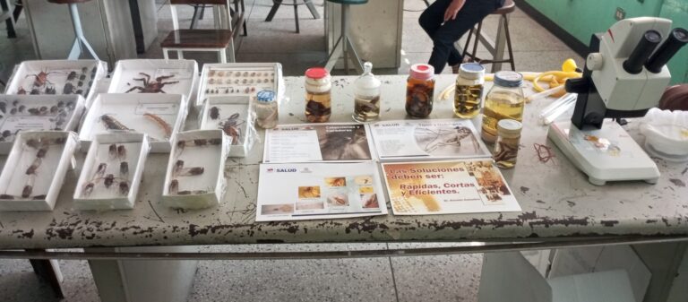 photo_4927008623540505598_w