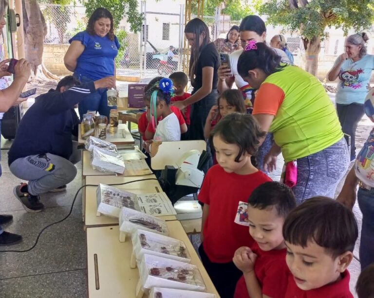 photo_4931481350942952370_y