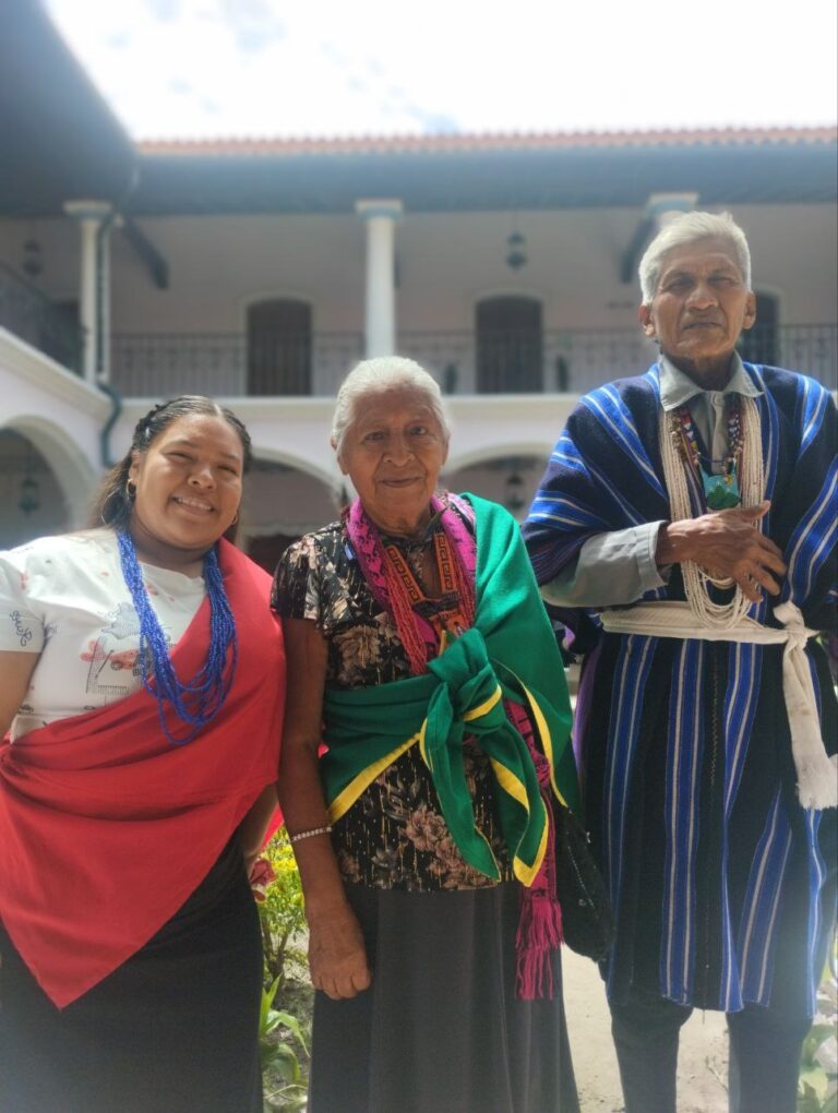 photo_4969783104784501661_y