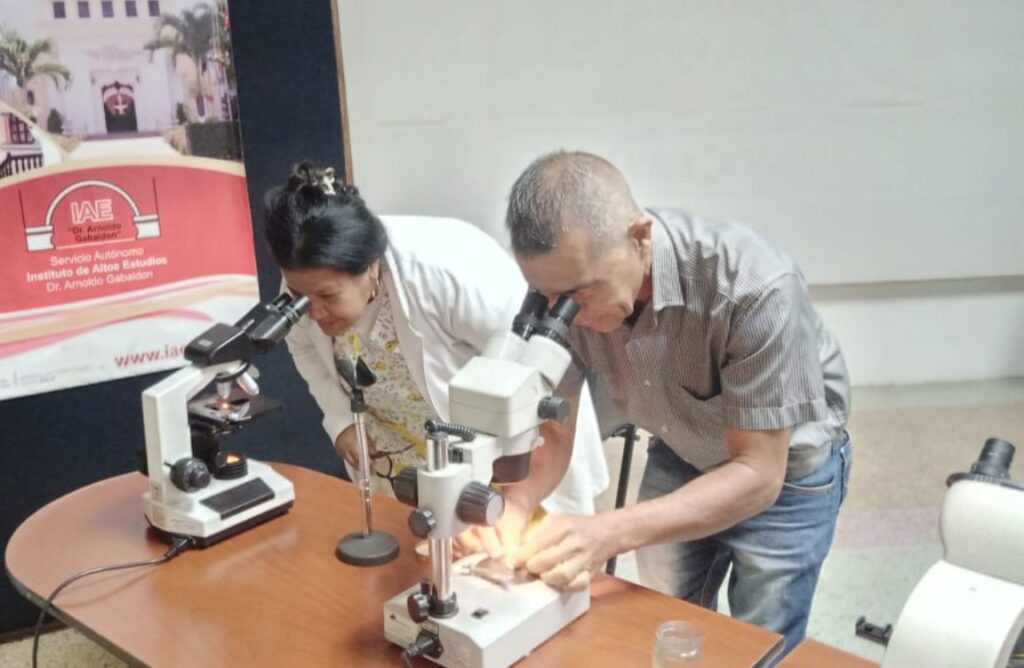 Estudio de los Arbovirus actualiza los conocimientos del Sistema de Vigilancia Epidemiológica